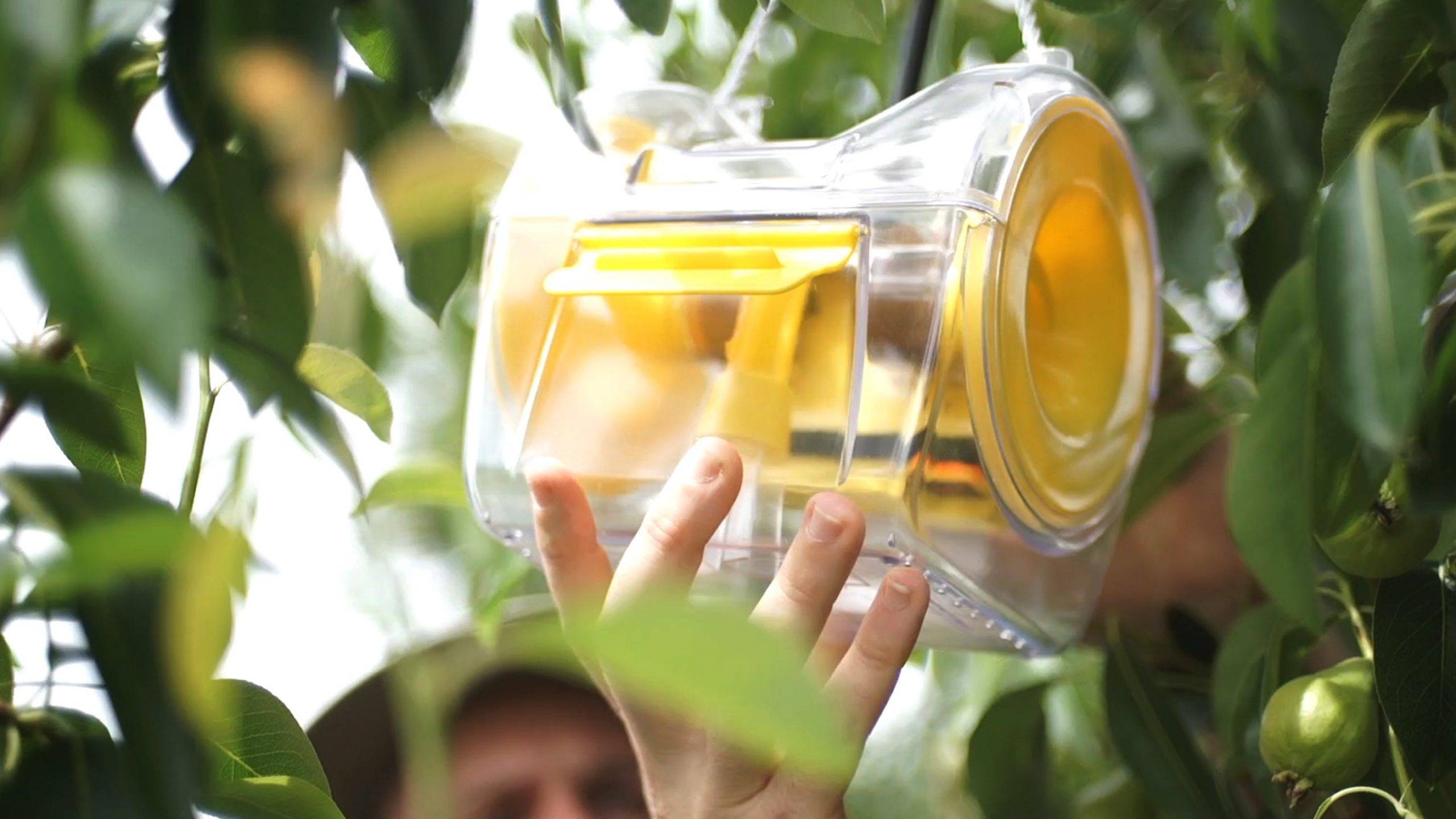 RapidAIM|RapidAIM-mobile